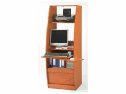 Armoire Informatique Galbée Largeur 60 Cm 5 Niches - Coloris: Merisier