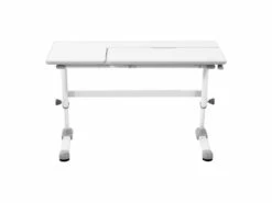 Bureau Enfant Réglable - 120 X 66 Cm - Inclinaison : 0 - 50° - Hauteur : 600 - 760 Mm 14_0005976 -mobilier de bureau Shop meuble bureau 19196283