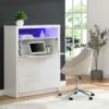 Secrétaire Avec 2 Portes - Avec LEDs - MDF - Blanc Lacqué - MELIONA