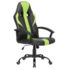 Chaise De Gamer En Cuir PU Noir Et Vert SUCCESS